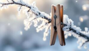 Los mayores lo hacían antes de cada invierno: la pequeña pinza que lo cambia todo cuando hiela